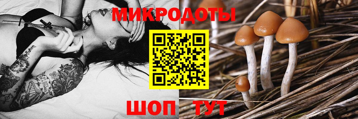 Галлюциногенные грибы Cubensis  Галлюциногенные грибы мицелий  Вход с VPN  как найти закладки  Пугачёв 
